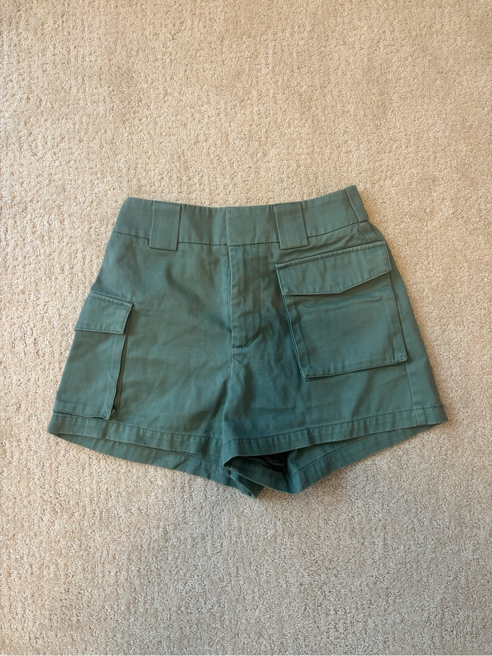 Aritzia TNA Cargo Shorts